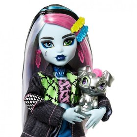 Monster High Prerka monsterka - Frankie HXH73